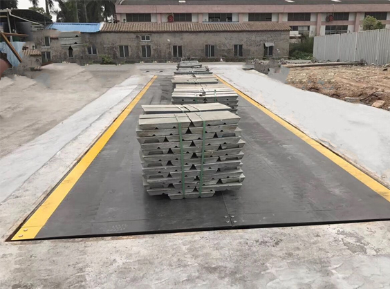 樱花草视频免费高清在线
